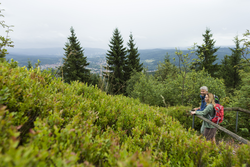 pic_Rennsteigtour AUFTAKT 5 Tage / 4 Nächte